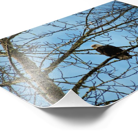 Impression Photo Je vous regarde (Coin)