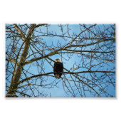 Impression Photo Je vous regarde (Devant)