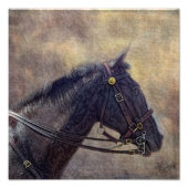 Impression Photo J'espionne (Devant)