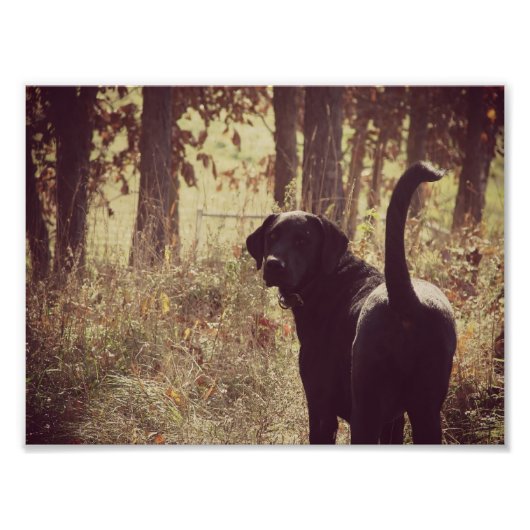 Impression Photo Jetta fille (Devant)