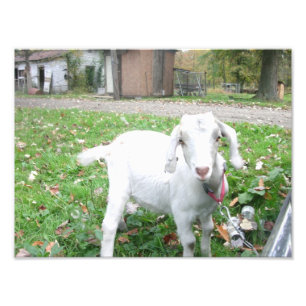 Impression Photo Jeune enfant