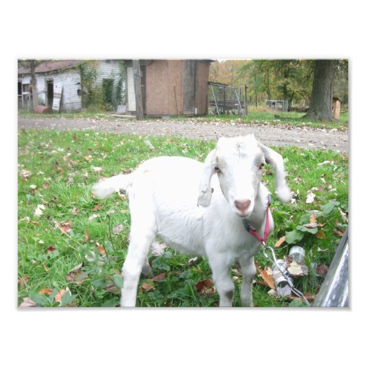Impression Photo Jeune enfant (Devant)