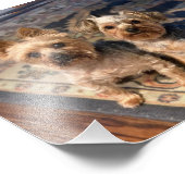 Impression Photo JoAn Nicolas Rosie (Coin)