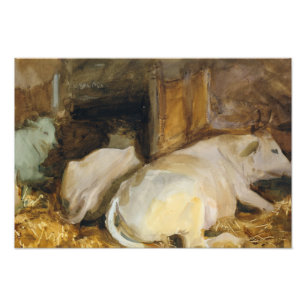 Impression Photo John Singer Sargent - Trois Oxen