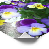 Impression Photo Johnny saute vers le haut (Coin)