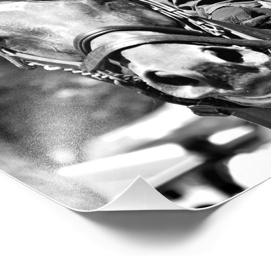 Impression Photo Johnny Velasquez (Coin)