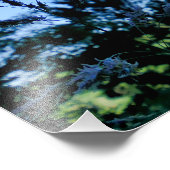 Impression Photo Johnson Grass (Coin)