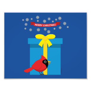 Impression Photo Joli Cardinal Rouge Avec Cadeau Bleu