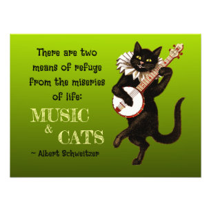 Impression Photo Joli chat musical Deux moyens de refuge Schweitzer