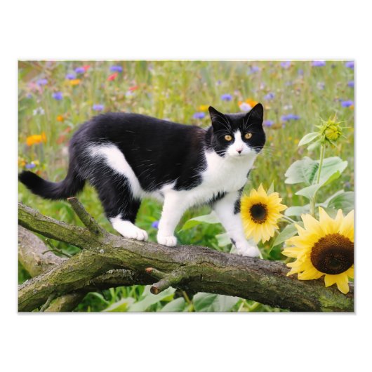 Impression Photo Joli chat smoking sur une branche d'arbre avec des (Devant)