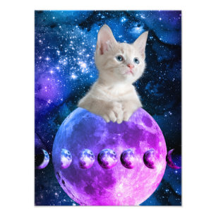Impression Photo Joli Chat Sur La Lune Étoiles Brillantes Univers V