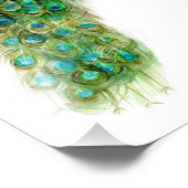 Impression Photo Joli Peacock (Coin)