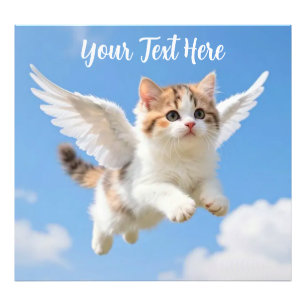 Impression Photo Joli Petit Chat Calico Tabby Volant Ciel Bleu
