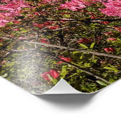 Impression Photo Joli rose Azaleas Floral (Coin)