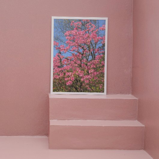 Impression Photo Joli rose Azaleas Floral