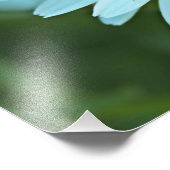 Impression Photo joli tableau blanc de fleurs marguerites. (Coin)