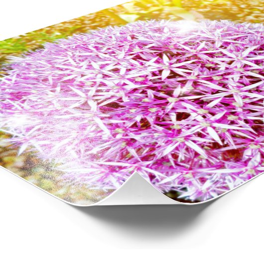 Impression Photo Jolie Fleur Rose (Coin)