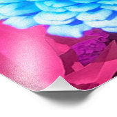 Impression Photo Jolie Zinnia Bleue dans le Jardin d'été pourpre (Coin)