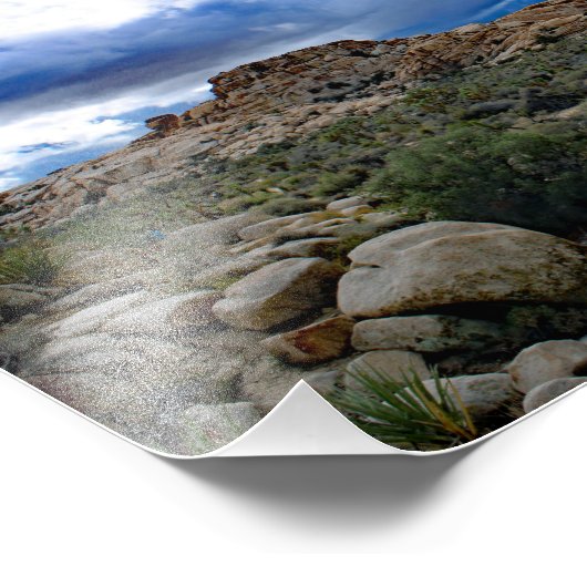 Impression Photo Joshua Tree (Coin)