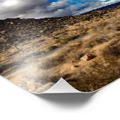 Impression Photo Joshua Tree (Coin)