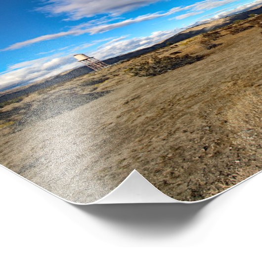 Impression Photo Joshua Tree (Coin)