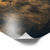 Impression Photo Joshua Tree, Yucca brevifolia) et granit (Coin)