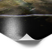 Impression Photo Journal des tortues (Coin)