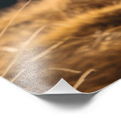 Impression Photo Joyeux Golden Retriever en cours (Coin)