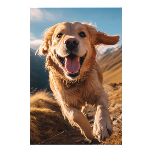 Impression Photo Joyeux Golden Retriever en cours (Devant)