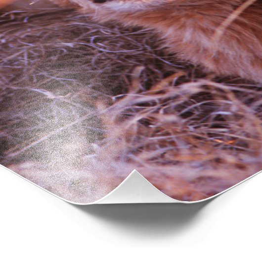 Impression Photo Joyeux Tau (Coin)