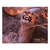 Impression Photo Joyeux Tau (Devant)