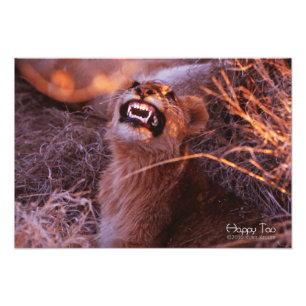 Impression Photo Joyeux Tau