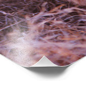 Impression Photo Joyeux Tau (Coin)