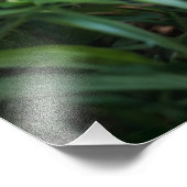 Impression Photo Jungle Leopard (Coin)