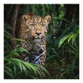 Impression Photo Jungle Leopard (Devant)