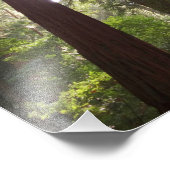 Impression Photo Jusqu'aux séquoias du matin (Coin)