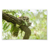 Impression Photo Juste un aperçu (Devant)