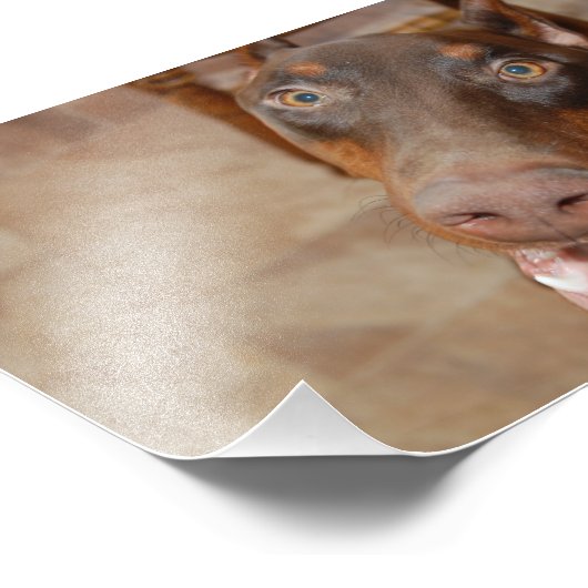 Impression Photo Kaiser (Coin)