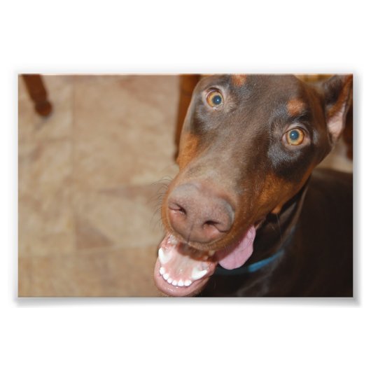 Impression Photo Kaiser (Devant)