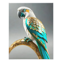 KAKA MOTU Parrot Island Continental Lemuria