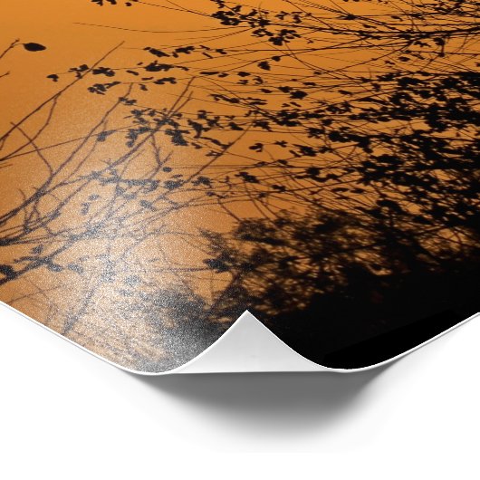 Impression Photo Kansas Windmill (Coin)