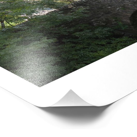 Impression Photo Kettlewell (Coin)