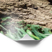 Impression Photo Kit Fox 14x11 dans la vallée de l'Hudson (Coin)