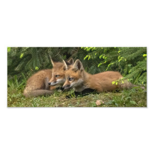 Impression Photo Kit Fox Pals