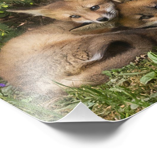 Impression Photo Kits de Fox (Coin)