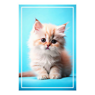 Impression Photo Kitten adorable avec Arrière - plan bleu