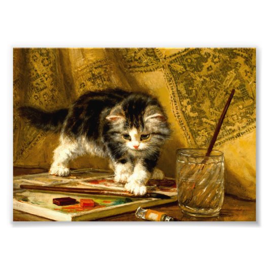 Impression Photo Kitten avec peinture et brosses (Devant)