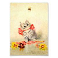 Kitten avec ruban rouge