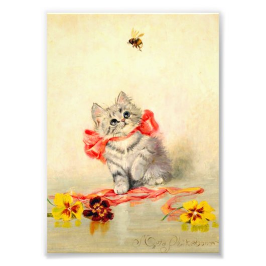 Impression Photo Kitten avec ruban rouge (Devant)