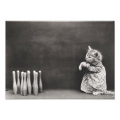 Impression Photo Kitten Bowling (Devant)